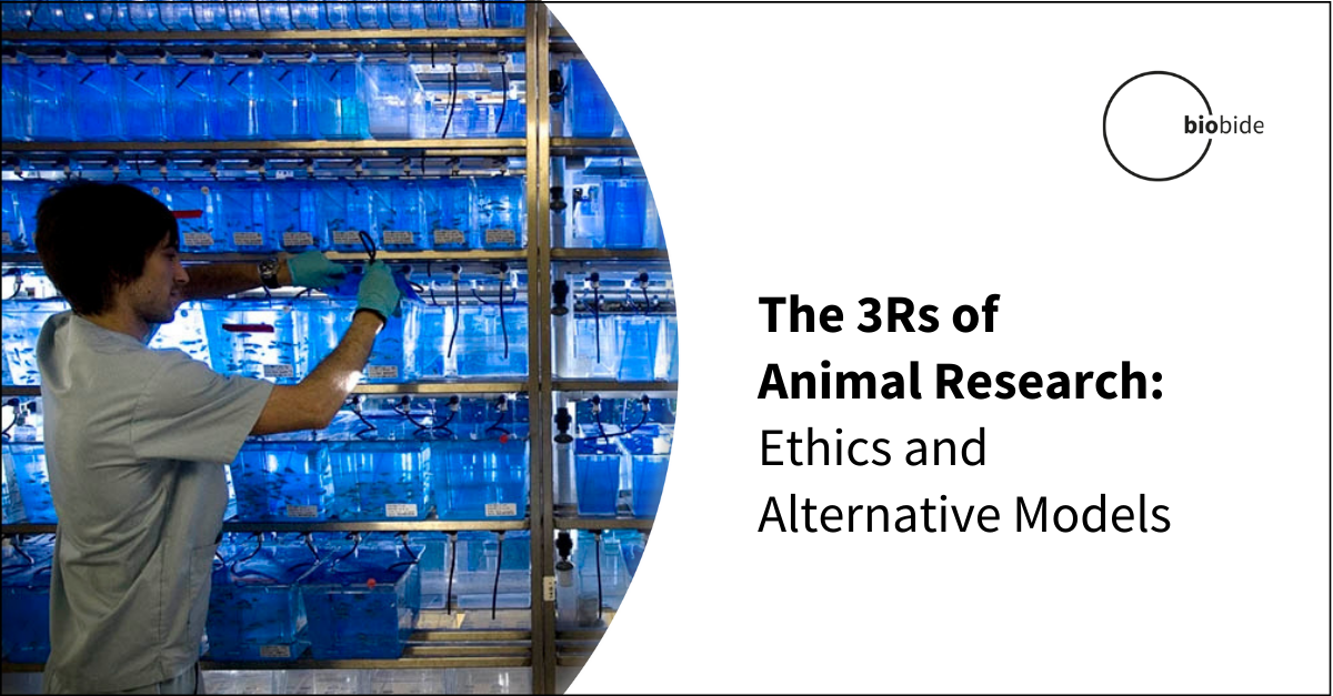 The 3Rs of Animal Research Ethics and Alternative Models